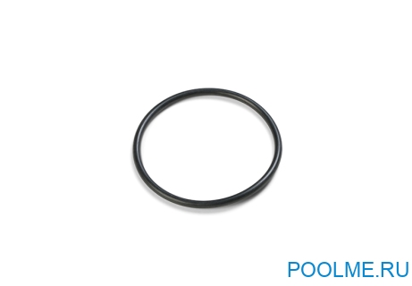Уплотнительное кольцо INTEX на плунжерный клапан под шланг 38мм, артикул 10262 Уплотнительное кольцо INTEX на плунжерный клапан под шланг 38мм, артикул 10262