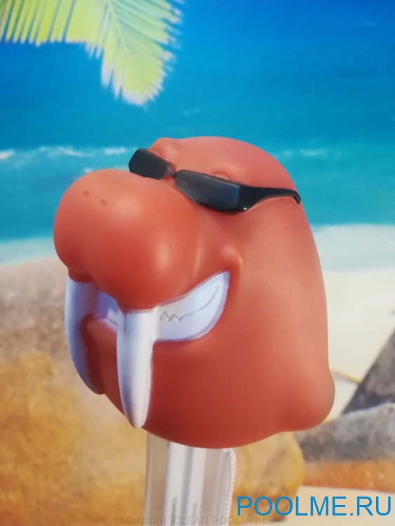 Термометр-игрушка для бассейна Kokido "Морж", артикул K725-W Термометр-игрушка для бассейна Kokido "Морж", артикул K725-W