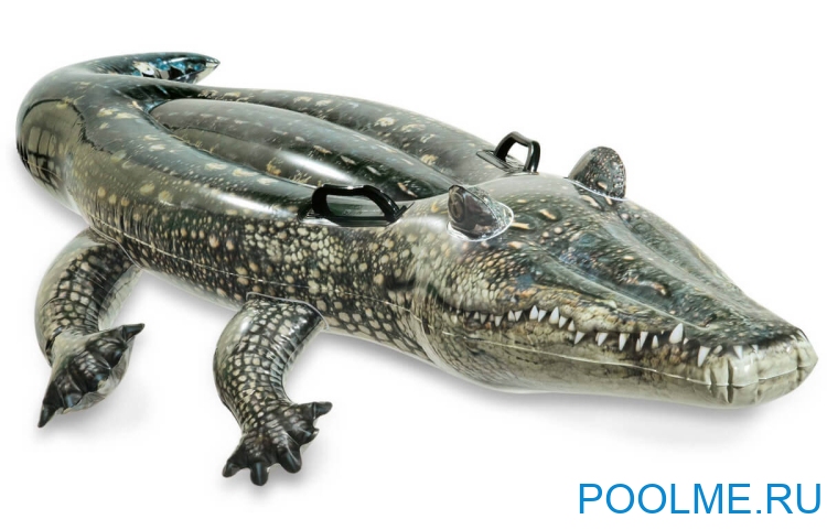 Надувная игрушка INTEX "Крокодил" 170 x 86 см, артикул 57551