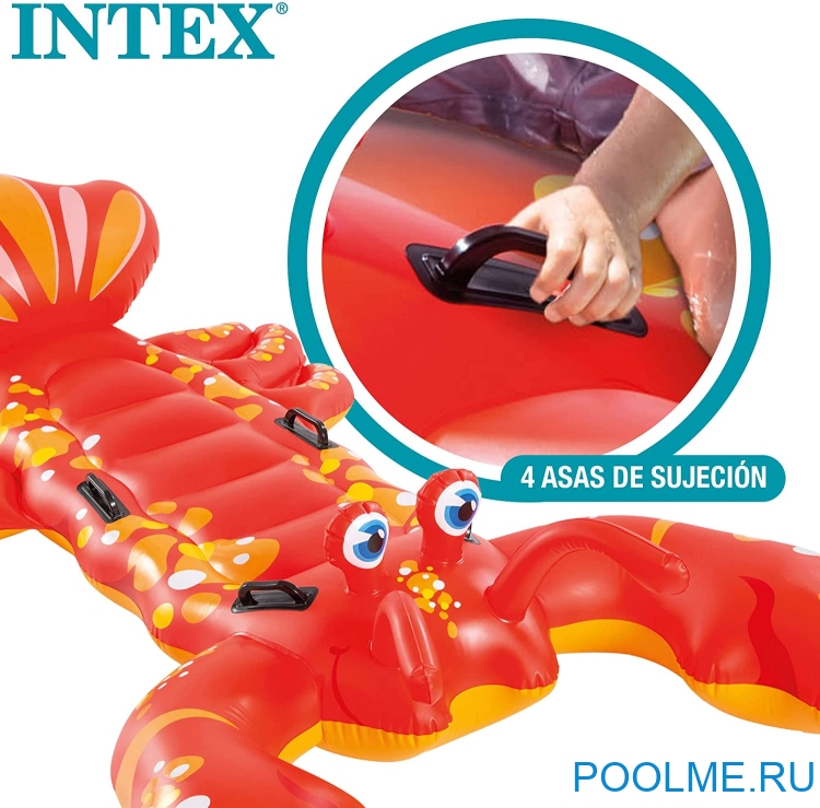 Надувная игрушка INTEX "Лобстер" 213 x 137 см, артикул 57528 Надувная игрушка INTEX "Лобстер" 213 x 137 см, артикул 57528