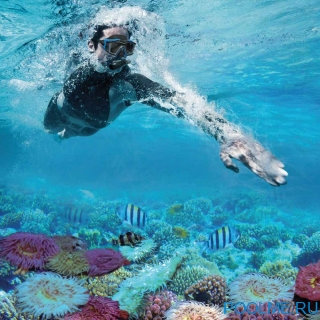 Комплект для плавания INTEX "Wave Rider", артикул 55658