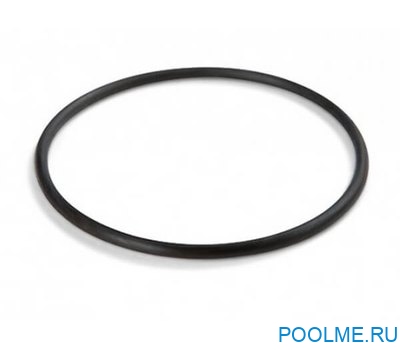 Уплотнительное кольцо INTEX предфильтра 26646, артикул 11824
