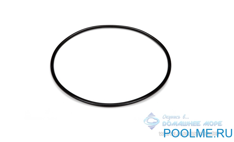 Уплотнительное кольцо INTEX предфильтра 26646, артикул 11824