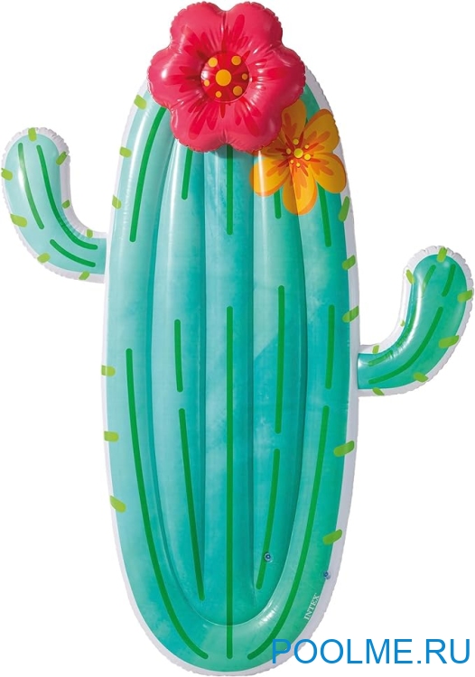 Матрас INTEX "Кактус", артикул 58793 Матрас INTEX "Кактус", артикул 58793